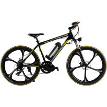 2019 hot sale electric cargo bike/electric bike 48v 1000w e bike/e cycle electric bike